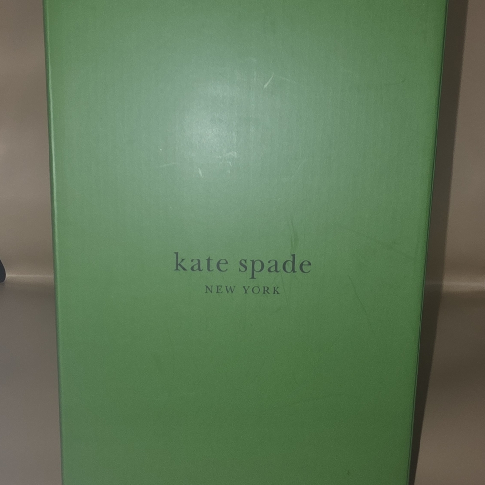 kate Spade Grace AVENUE Silver Champagne Flutes - Picture 3 of 4